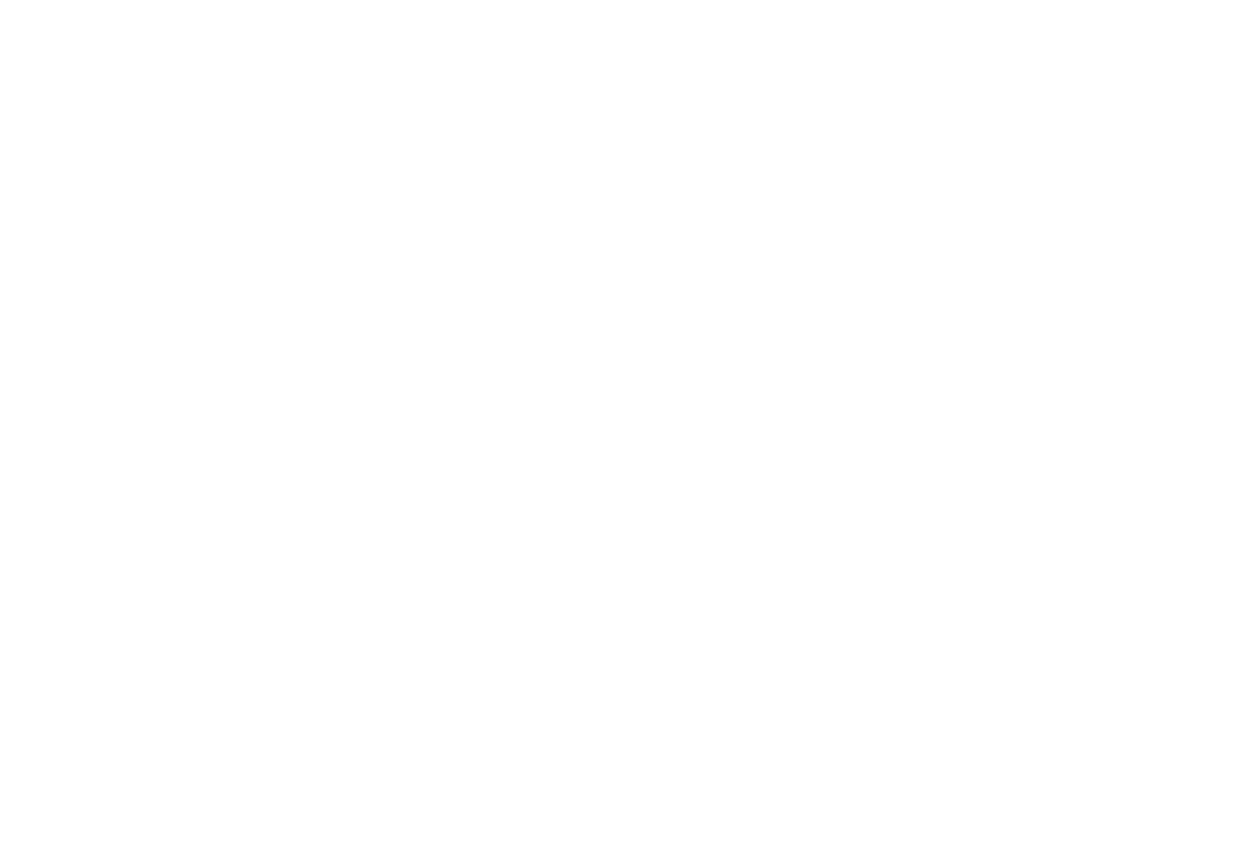 sinotric.com